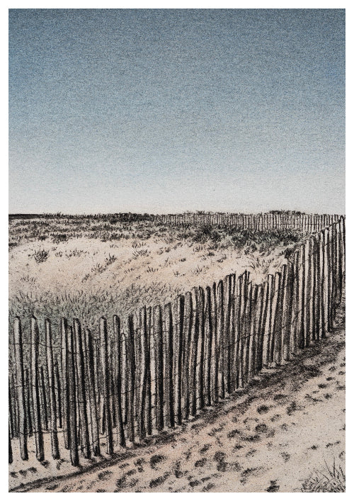 Dunes de la sauzaie - Bretignolles-sur-Mer